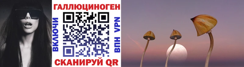 Галлюциногенные грибы Psilocybe хочу Нурлат